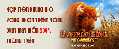 Đặc Quyền VIP 015 promotion